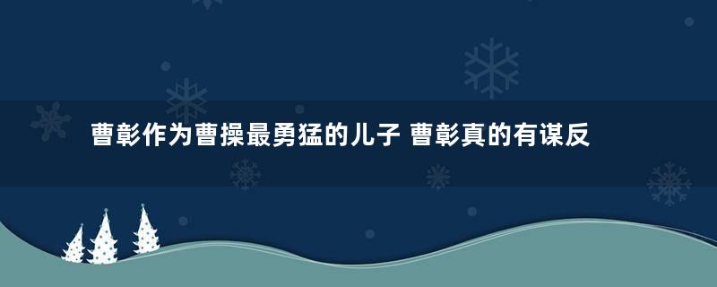 曹彰作为曹操最勇猛的儿子 曹彰真的有谋反之心吗